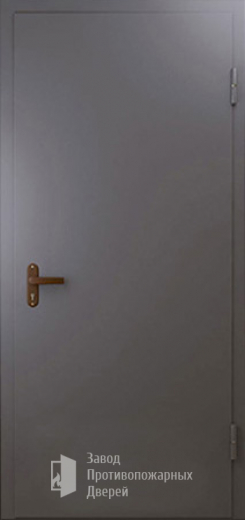 Фото двери «Техническая дверь №1 однопольная» в Электрогорску
