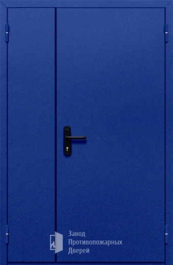 Фото двери «Полуторная глухая (синяя)» в Электрогорску