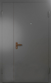 Фото двери «Техническая дверь №6 полуторная» в Электрогорску